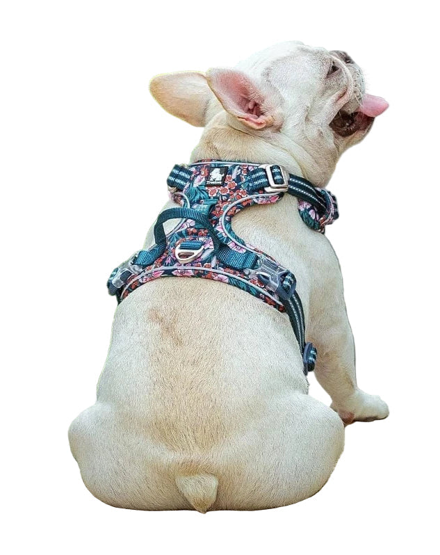 Harnais pour chien réglable, respirant et confortable, sans frottement, pour grandes et petites races