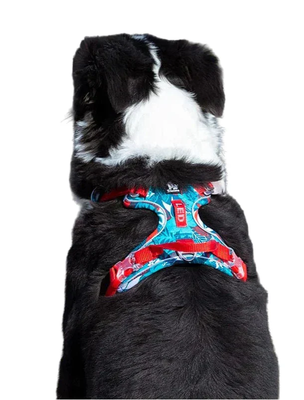 Harnais pour chien réglable, respirant et confortable, sans frottement, pour grandes et petites races